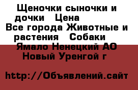 Щеночки-сыночки и дочки › Цена ­ 30 000 - Все города Животные и растения » Собаки   . Ямало-Ненецкий АО,Новый Уренгой г.